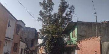 Ayuntamiento de Santa Lucia del Camino no atiende demanda desde hace 8 meses