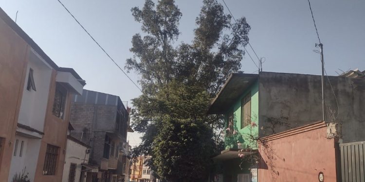 Ayuntamiento de Santa Lucia del Camino no atiende demanda desde hace 8 meses