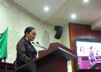 Liz Arroyo busca proteger a defensoras de derechos de las mujeres