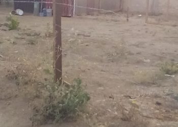 Antorchistas de Oaxaca despojan de un terreno ejidal a beneficiario