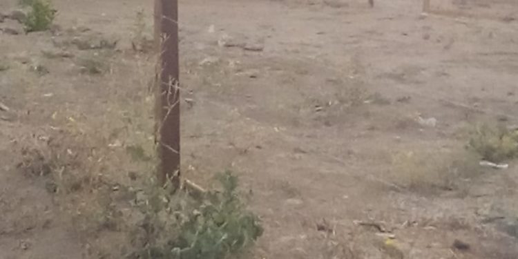 Antorchistas de Oaxaca despojan de un terreno ejidal a beneficiario