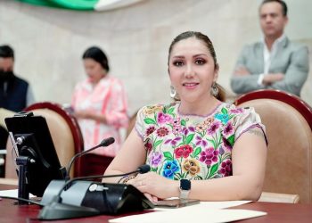 Balance positivo del primer periodo de la LXV Legislatura: Dip Miriam Vázquez