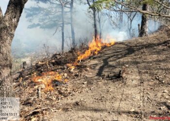 Atiende Coesfo incendio forestal activo en la región del Istmo
