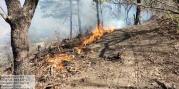 Atiende Coesfo incendio forestal activo en la región del Istmo