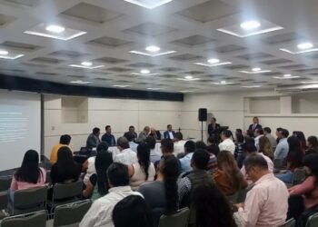 Deficiencias en peritajes de la Fiscalía de Oaxaca en caso de Vera Carrizal: Abogado Edgar García 