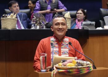 Nino Morales propone etiquetado frontal para alimentos con contenido genéticamente modificado 