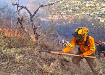 Liquida Coesfo incendio forestal en Ixtlán de Juárez