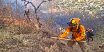 Liquida Coesfo incendio forestal en Ixtlán de Juárez