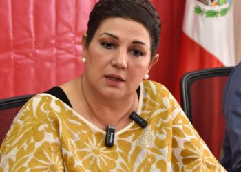 “México merece liderazgo y firmeza frente a las amenazas externas”: Carmelita Ricárdez