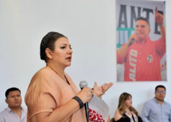 “Morena está llevando al país al borde del colapso económico”: Carmelita Ricárdez