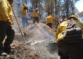 Reporta Coesfo control de incendio forestal en Santa María Peñoles
