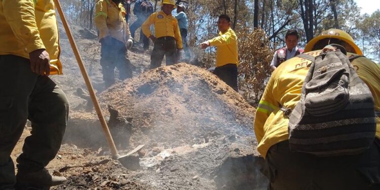 Reporta Coesfo control de incendio forestal en Santa María Peñoles
