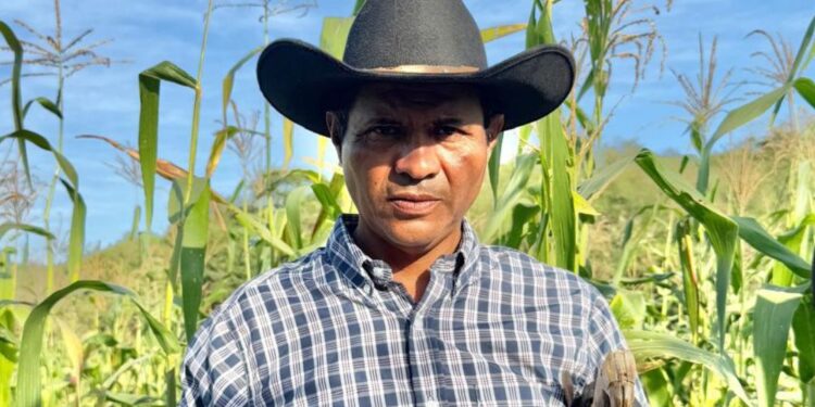 Organizaciones sociales se solidarizan con defensor de los recursos naturales en el estado de Guerrero