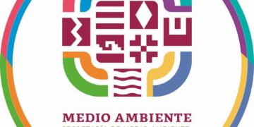 Emite Secretaría de Medio Ambiente recomendaciones por incendio en Bajos de Chila, San Pedro Mixtepec