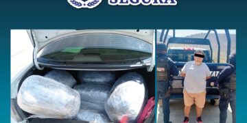 Policía Estatal detiene a hombre con más de 40 kilos de marihuana en San Pedro Totolápam