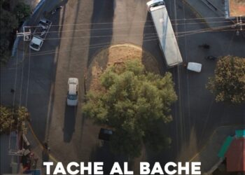Tache al Bache en acción