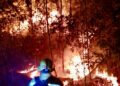 Durante marzo, atiende Coesfo 36 incendios forestales y de pastizales