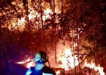 Durante marzo, atiende Coesfo 36 incendios forestales y de pastizales