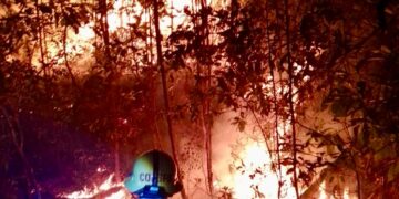 Durante marzo, atiende Coesfo 36 incendios forestales y de pastizales