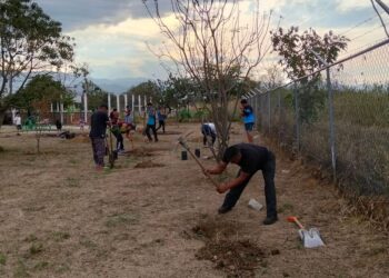 Reforestan parque en Jalpan con tequio comunitario
