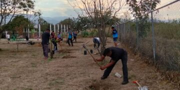 Reforestan parque en Jalpan con tequio comunitario